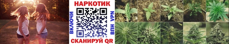 Галлюциногенные грибы Дедовск