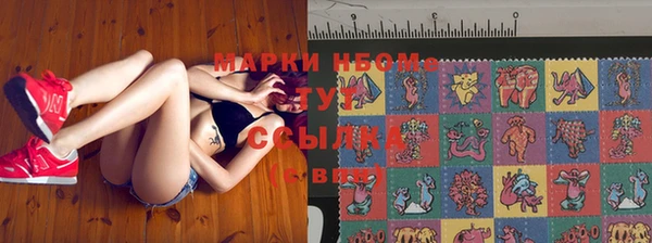 прущие грибы Алексеевка