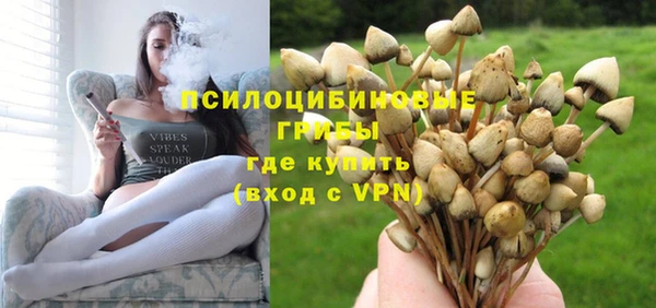 прущие грибы Алексеевка