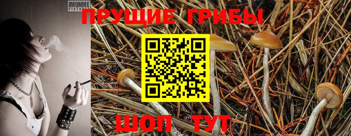 Дедовск  Галлюциногенные грибы прущие грибы  Псилоцибиновые грибы мухоморы  Вход с VPN 